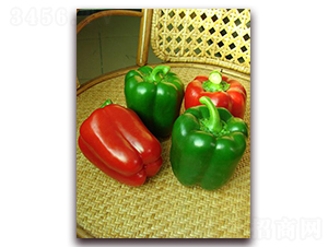 �_��-�����N��-�����