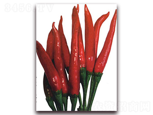 ����-�����N��-�����