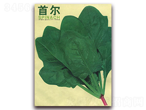 �נ�-���˷N��-�����