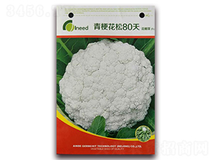 青?；ㄋ?0天花椰菜F1-花椰菜種子-艾尼德