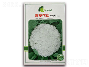 �������90��-�ɻ��˷N��-�����