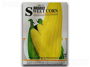 ʥ����ճ����-Ŵ���׷N��-¡�_(d��)