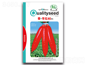 ������t40F1-�}���N��-¡�_(d��)