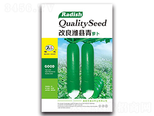 新改良濰縣青蘿卜-蘿卜種子-隆達