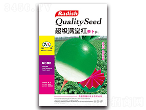 超級滿堂紅蘿卜F1-蘿卜種子-隆達(dá)