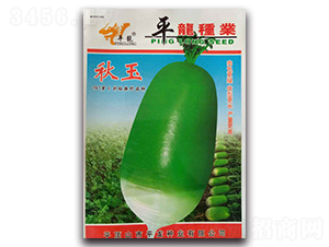 �����}��-�}���N��-ƽ���N�I(y��)