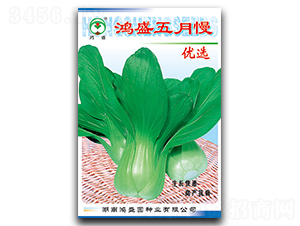 ��ʢ������-��˷N��-��ʢ�@