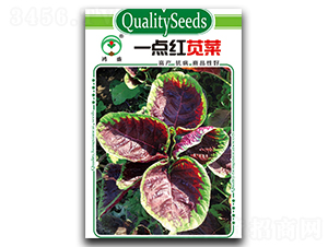 һ�c(di��n)�t�{��-�{�˷N��-��ʢ�@