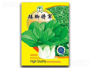 ���_��܊-��˷N��-��ʢ�@