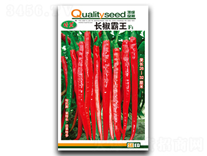 �L(zh��ng)������-�����N��-��ʢ�@