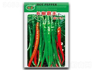 �L(zh��ng)����������̖(h��o)-�����N��-��ʢ�@