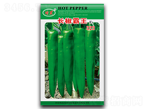 �L(zh��ng)������323-�����N��-��ʢ�@