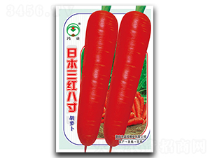 �ձ����t�˴�-���}���N��-��ʢ�@