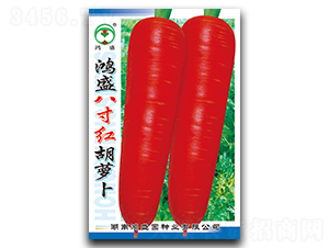 ��ʢ�˴�t-���}���N��-��ʢ�@