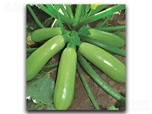 ��1̖-�����J�N��-�����o�N��