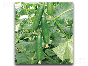 �G��-�S�ϷN��-�����o(j��)�N��