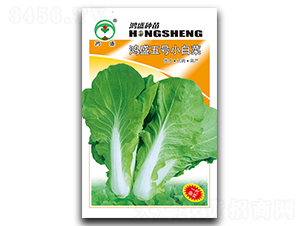 ��ʢ��̖-�ײ˷N��-��ʢ�@