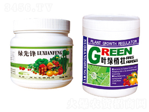 �G���h+�~�G�҉�-������