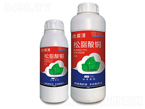 20%��֬���~-������-���I(l��ng)�r(n��ng)�I(y��)