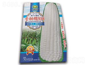 ����Ŵ-���׷N��-ԥ�β�