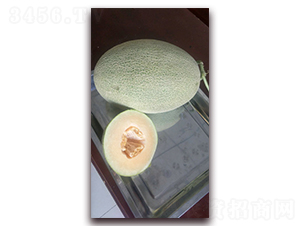 ��ؐ��̖(h��o)-��ϷN��-�F(xi��n)���N�I(y��)