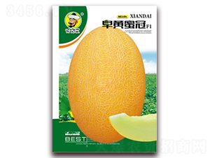 ���S�۹�F1-��ϷN��-�F(xi��n)���N�I(y��)