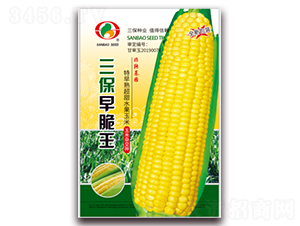 ���������-�����׷N��-�����N�I(y��)