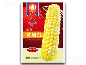 �����S�Ӱ�-�����׷N��-�����N�I(y��)