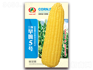 �������5̖-�����׷N��-�����N�I(y��)