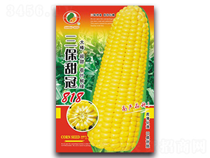 �������818-�����׷N��-�����N�I(y��)