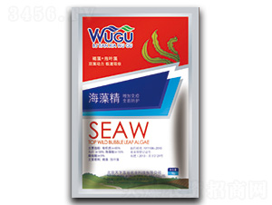 ���徫-�������