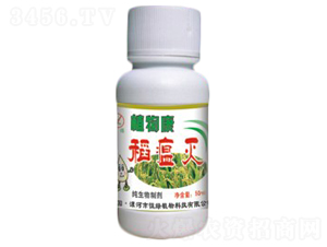 ������-ֲ�￵-��Gֲ��