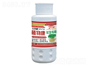 ������(zhu��n)��ֲ�￵-�������-��Gֲ��