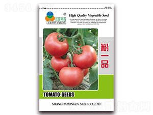 ��һƷ-���ѷN��-�d�G�N��