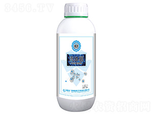 ���w��-���S-̩����