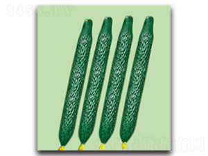 ����3̖(h��o)-�S�ϷN��-��ľ�N��