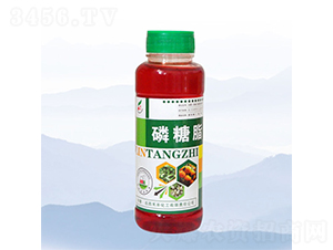 ����֬-���S