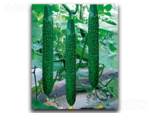 ����1̖(h��o)-�S�ϷN��-��ľ�N��