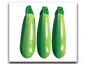 �ۿ�2̖(h��o)-�����J�N��-��ľ�N��