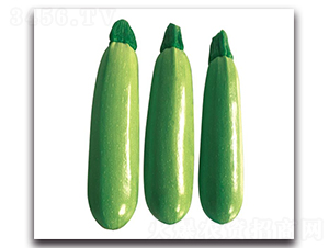 �ۿ�1̖(h��o)-�����J�N��-��ľ�N��