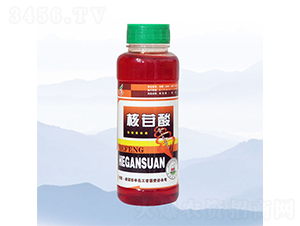 ������-���S