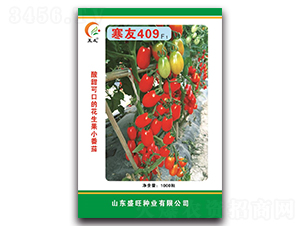 ����409F1-���ѷN��-ʢ���N�I(y��)