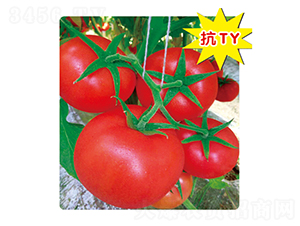 ���_-���ѷN��-ʢ���N�I(y��)