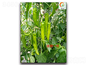 �۪{һ̖-�����N��-ʢ���N�I(y��)