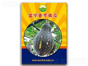 ���������Ϲ�-�ϹϷN��-����N��