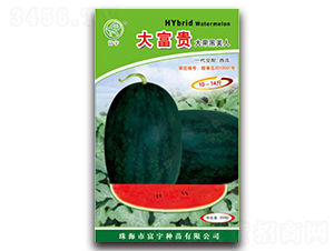 300�����F���������-���ϷN��-����N��