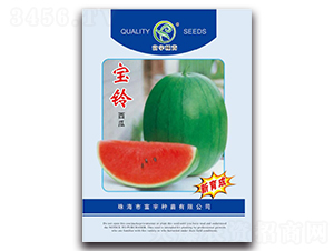 �������-���ϷN��-����N��