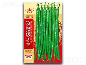 �I�ܾ�5̖-�����N��-��¡��