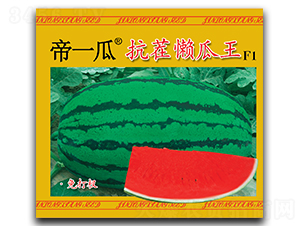 ��һ�Ͽ���й���-���ϷN��-��¡��