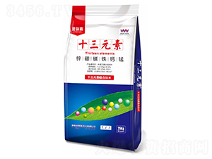 十三元素-金瑞嘉